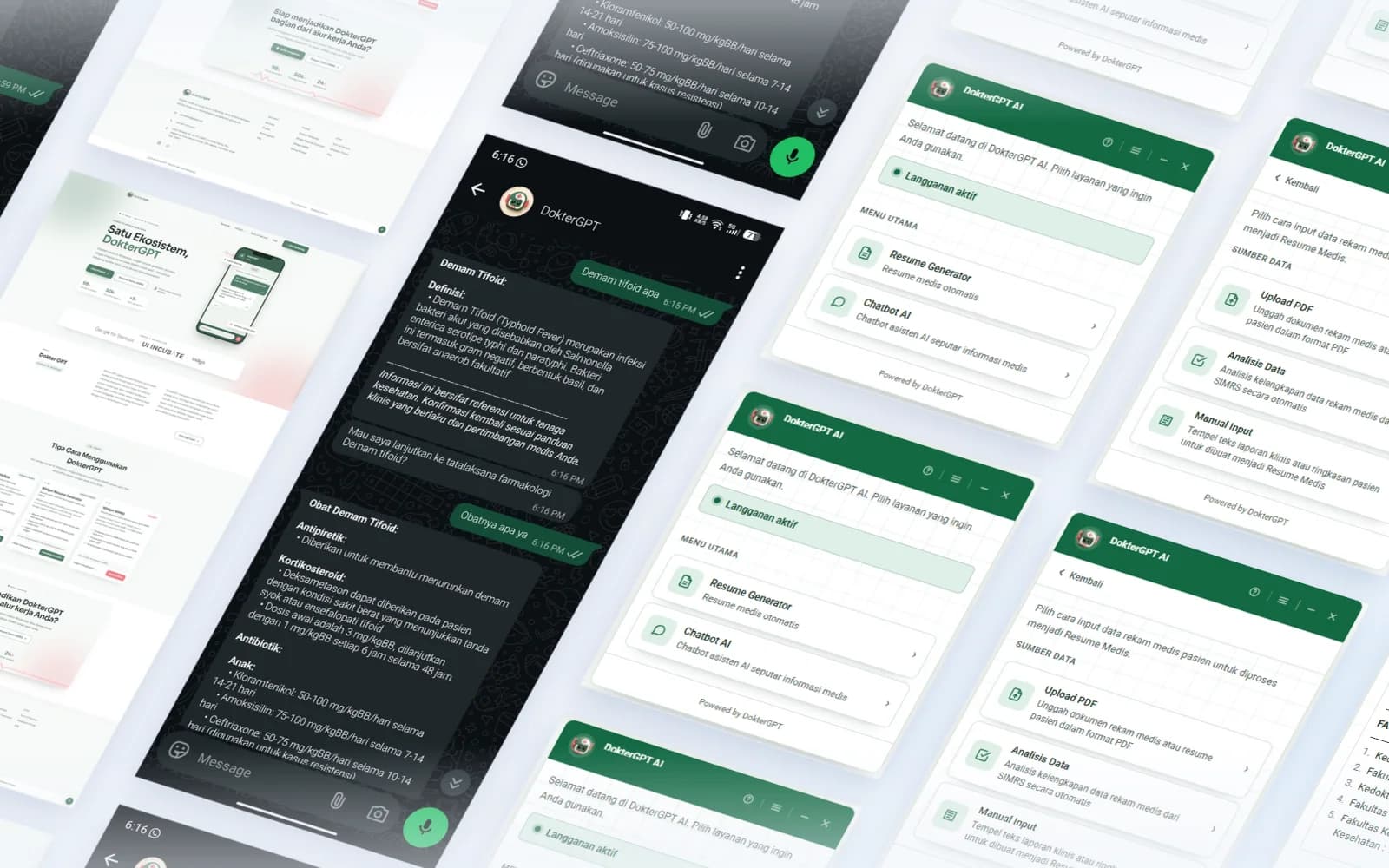 DokterGPT website, WhatsApp chat and Chrome extension screens